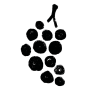 grape-icon